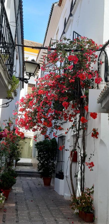 Precioso y acogedor ático old town Apartamento Marbella Exterior foto